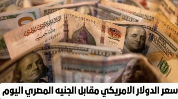 الاخضر في احسن احواله.. سعر الدولار اليوم في البنوك الاحد 24 مارس