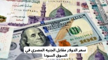 مفاجأة اليوم بعد الزيادة.. سعر الدولار اليوم 23 مارس