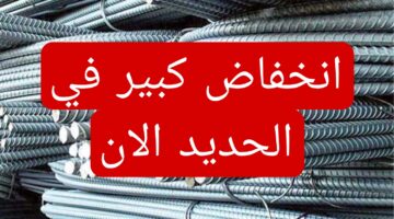 الحديد بينزل من تاني.. انخفاض كبير يضرب اسعار الحديد اليوم السبت 30 مارس 2024.. قوم ابني للعيال!!