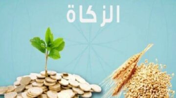 الأوقاف الجزائرية.. كيفية احتساب زكاة الفطر في الجزائر لعام 2024