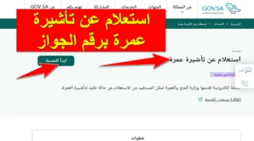 استعلم عن تأشيرتك.. كيفية الاستعلام عن تأشيرة العمرة برقم الجواز 1445 في المملكة العربية السعودية