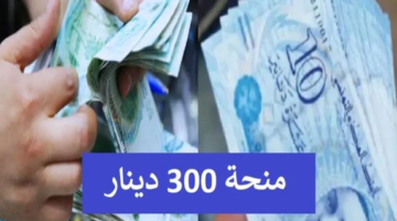 “وزارة الشؤون الاجتماعية” تعلن عن رابط التسجيل في منحة ال300 دينار في تونس