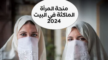 “سجلي وانتي في بيتك”.. كيفية التسجيل في منحة المرأة الماكثة في البيت 2024 والشروط المطلوبة