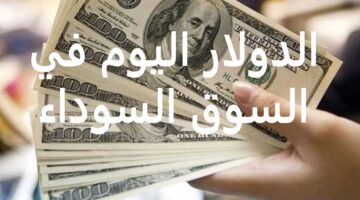 100 دولار بكام جنيه مصري؟ .. سعر الدولار اليوم الجمعة 26 إبريل