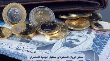 الأخضر السعودي وصل كام ؟؟ .. اعرف دلوقتي سعر الريال السعودي اليوم في البنوك