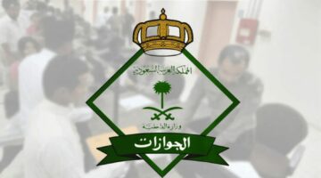 الحكومة السعودية.. تعلن عن تحملها رسوم الإقامة وتصريح العمل لمدة 4 سنوات لهذه الفئات