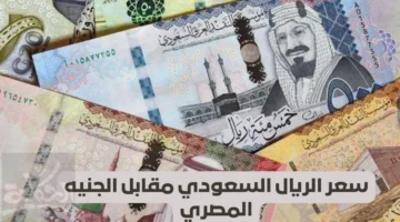 في تراجع.. سعر الريال السعودي أمام الجنيه المصري اليوم الثلاثاء 2-4-2024