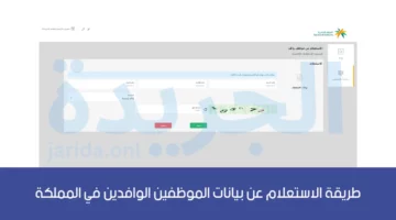 بالخطوات.. طريقة الاستعلام عن بيانات الموظفين الوافدين في المملكة