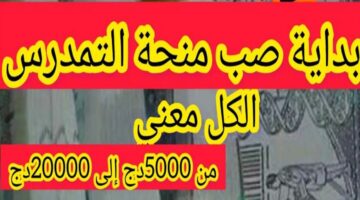 وزارة التربية الوطنية الجزائرية تعلن عن موعد صرف منحة التمدرس 2024 بقيمة 5000 دينار لدعم الأسر الفقيرة