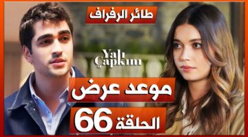 المفاجأت تتولي في الحلقة الجديدة.. مسلسل طائر الرفراف الحلقة 66 الجديدة والقنوات الناقلة