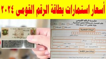 كيفية الاستعلام عن بطاقة الرقم القومي عبر موقع وزارة التضامن الاجتماعي moss.gov.eg 2024 بالتفاصيل