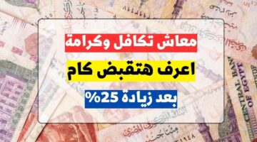 “متاح هنا”.. رابط الاستعلام عن معاش تكافل وكرامة بعد الزيادة الجديدة 2024م