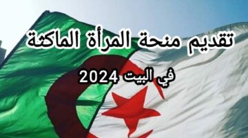 فرصة العمر لكل ست مش بتشتغل.. التسجيل في منحة المرأة الماكثة بالبيت 2024.. الشروط والأوراق المطلوبة للتقديم