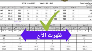 “رابط شغال”.. لينك نتائج السادس الابتدائي في الرصافة 2 