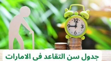 تعرف على السن الخاص بالتقاعد في الإمارات وأفراد العمالة الوافدة 