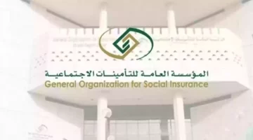 احصل على الحماية المالية.. المؤسسة العامة للتأمينات تفتح أبواب التسجيل بعد فترة التجربة