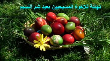 تهنئة للاخوة المسيحيين بعيد شم النسيم عيد على أصحابك وأحبابك وارسل لهم أجمل الكلمات والعبارات