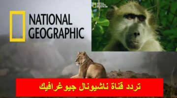 بجودة عالية.. اجدد تردد قناة ناشيونال جيوغرافيك HD  وكيفية المشاهدة – National Geographic Channel