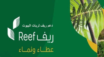 خطوة بخطوة.. خطوات الاستعلام عن نتائج الأهلية في دعم ريف 1445