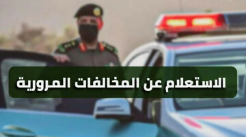 استعلم حالًا.. خطوات الاستعلام عن المخالفات المرورية بالرقم المدني