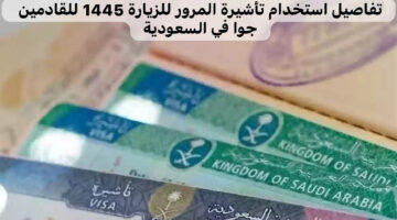 كيفية الاستعلام عن تأشيرة الزيارة السعودية بشكل إلكتروني والاوراق والشروط المطلوبة