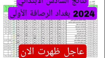 ظهرت الان في الرصافة.. وزارة التربية العراقية تعلن عن نتائج السادس الابتدائي جميع محافظات العراق عبر موقع نتائجنا