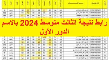 شلون استعلم pdf رابط نتيجة الثالث متوسط 2024 بالاسم الدور الأول نتائجنا في محافظة “بغداد ، الكرخ الأولى ، الكرخ الثاني” وعموم المحافظات العراقية