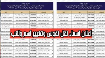 رابط رسمي.. كيفية الاستعلام عن اسماء نقل النفوس الوجبة الأخيرة في العراق 2024