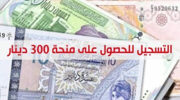 شروط الحصول على منحة 300 دينار تونس.. وهذه الأوراق المطلوبة