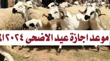 موعد إجازة عيد الأضحى 2024 في المغرب.. وهذا جدول العطل الرسمية 