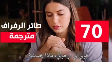 موعد مسلسل طائر الرفراف الحلقة 70 والقنوات الناقلة مترجمة بالعربية