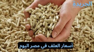 العلف عمل مفاجأة النهاردة.. أسعار العلف اليوم الثلاثاء 21/5/2024