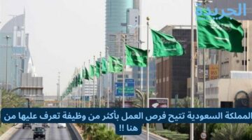 المملكة السعودية تتيح فرص العمل بأكثر من وظيفة تعرف عليها من هنا !!