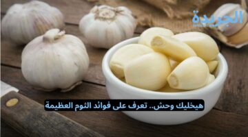 هيخليك وحش.. تعرف على فوائد الثوم العظيمة