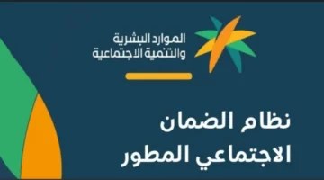 ” الموارد البشرية” توضح خطوات الاستعلام عن الضمان الاجتماعي المطور عبر النفاذ الوطني