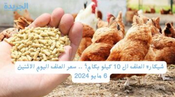 شيكاره العلف ال 10 كيلو بكام؟ .. سعر العلف اليوم الاثنين 6 مايو 2024