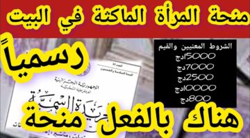 ما هي خطوات التسجيل في منحة المرأة الماكثة والشروط المطلوبة لذلك؟