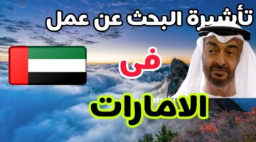 كل ما تريد معرفته للحصول على تأشيرة البحث عن عمل في الإمارات.. الشروط والرسوم ورابط التقديم