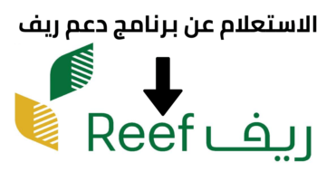 خبر بمليون ريال.. تعرف على أبرز شروط تسجيل في دعم ريف 2024