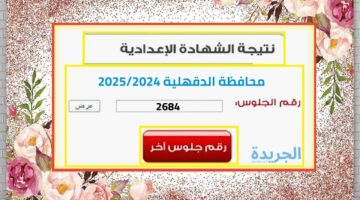 لينك فعال.. نتيجة الصف الثالث الاعدادي محافظة الدقهلية الترم الثاني 2024 بالاسم ورقم الجلوس