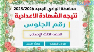 نتيجة الشهادة الإعدادية محافظة الوادي الجديد 2024 بالاسم ورقم الجلوس