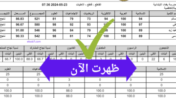 صدور نتائج السادس الابتدائي الدور الأول في كافة محافظات العراق 2024