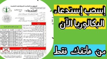 خطوة بخطوة.. طريقة سحب استدعاء البكالوريا عبر الموقع الرسمي