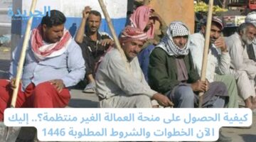 كيفية الحصول على منحة العمالة الغير منتظمة؟.. إليك الآن الخطوات والشروط المطلوبة 1446