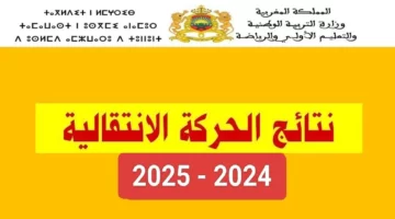 عاجل.. ظهور نتائج الحركة الإنتقالية الوطنية 2024 المغرب.. خطوات تقديم الطعن 