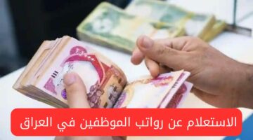 ما هي خطوات الاستعلام عن رواتب الموظفين في العراق؟  “المالية” تجيب