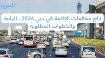 دفع مخالفات الإقامة في دبي 2024.. الرابط والخطوات المطلوبة