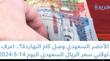 الأخضر السعودي وصل كام النهاردة؟.. اعرف دلوقتي سعر الريال السعودي اليوم 14-5-2024