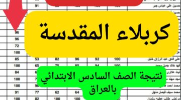 “بالاسم هنا”…رابط نتيجة كربلاء المقدسة للصف السادس الابتدائي الدور الاول بالعرق 2024