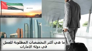 تأشيرات مجانية ورواتب مغرية.. فرصة من الإمارات لأبناء هذه الجنسية